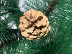 Christmas Tree with LED Lights - 5Ft/150 cm