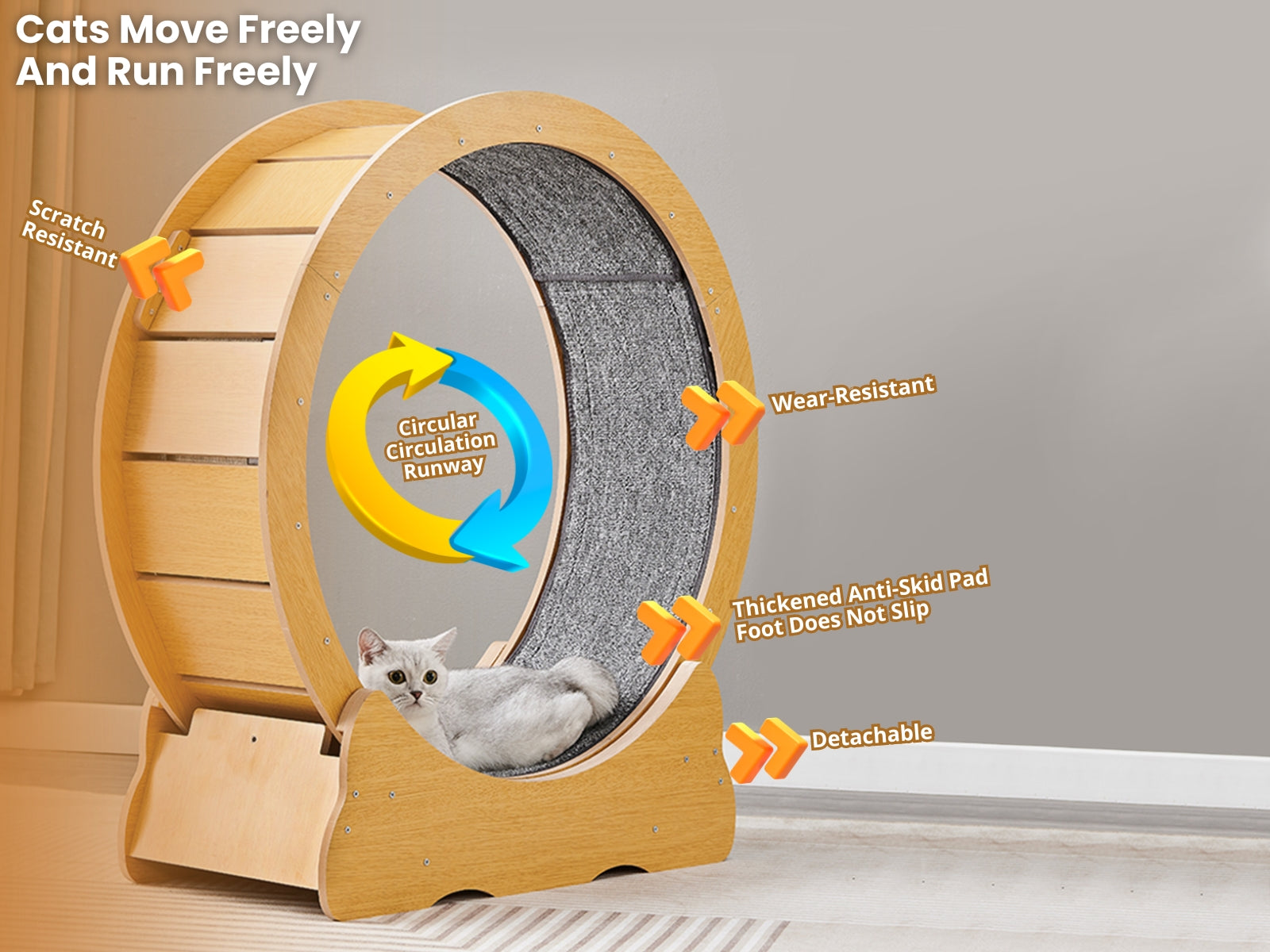 Cat Running Wheel
