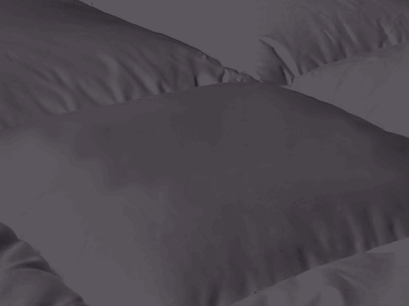 Bamboo Charcoal Mattress Topper - King