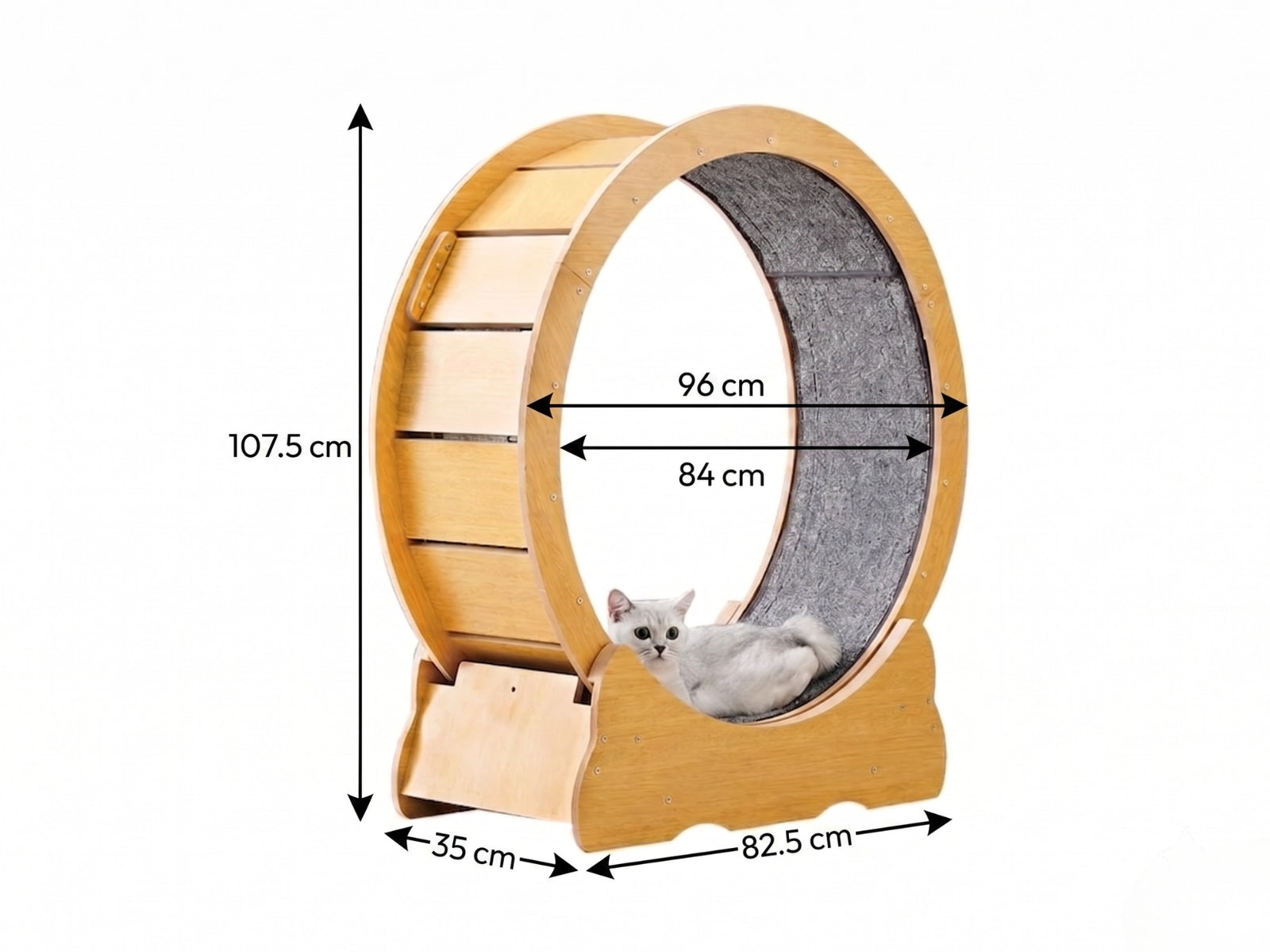 Cat Running Wheel