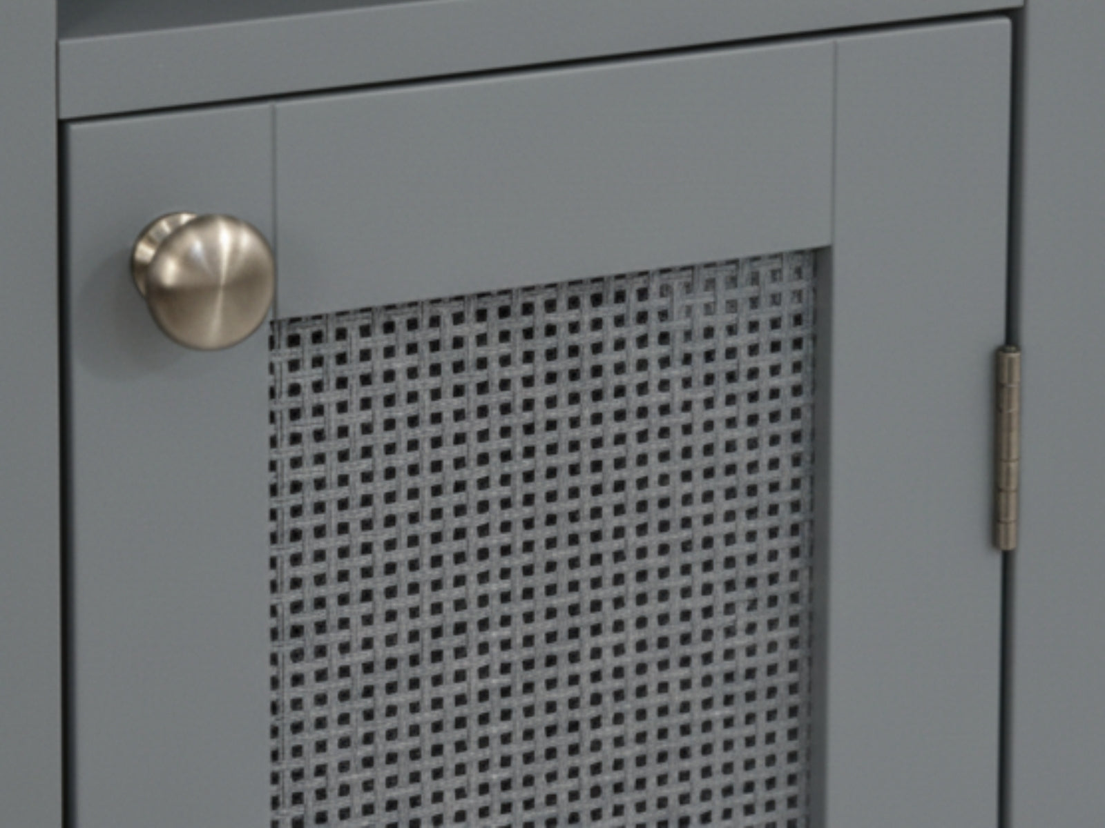 1-Door Rattan Storage Cabinet - Grey